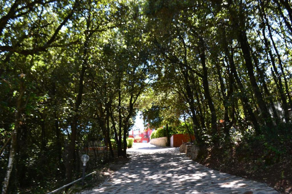 B&B Spring Perugia Exterior photo